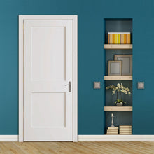 Slab 2-Panel Shaker White with Bore Hole Interior Door
